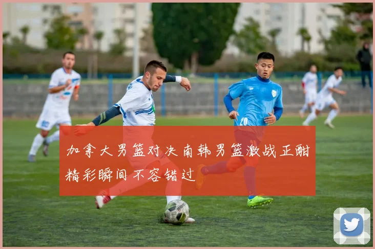 加拿大男篮对决南韩男篮激战正酣精彩瞬间不容错过