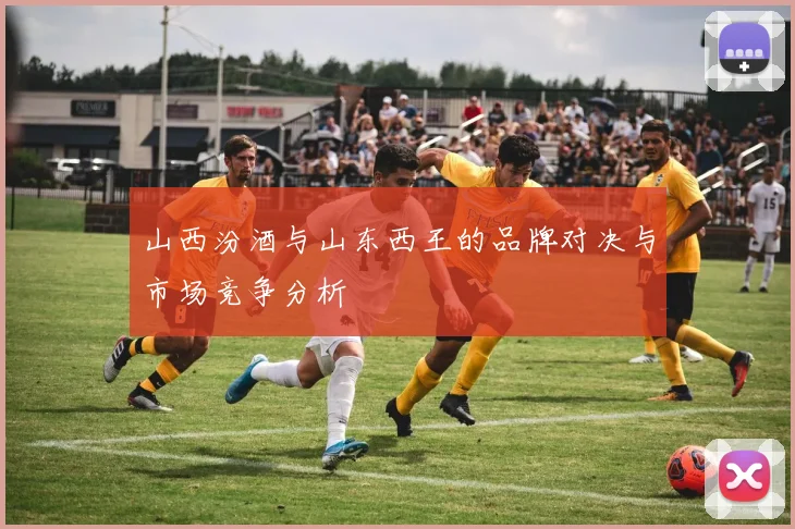 山西汾酒与山东西王的品牌对决与市场竞争分析