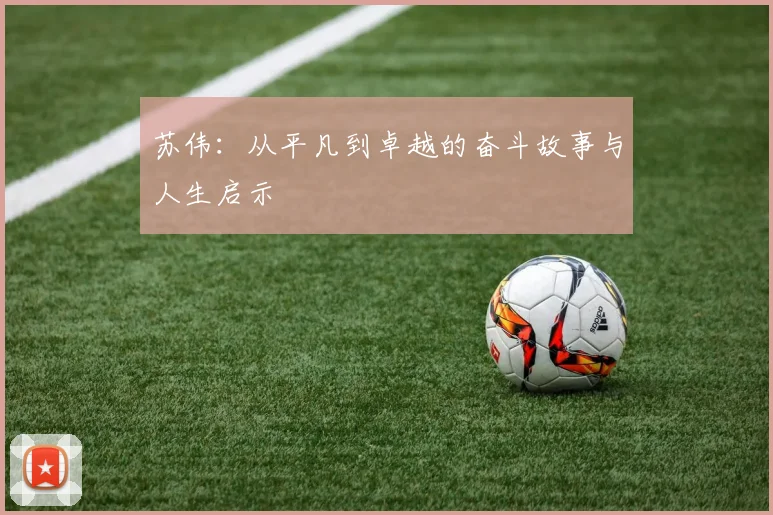 苏伟：从平凡到卓越的奋斗故事与人生启示