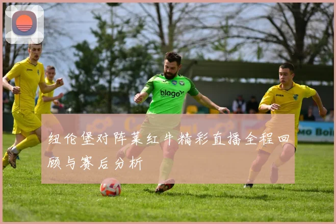 纽伦堡对阵莱红牛精彩直播全程回顾与赛后分析