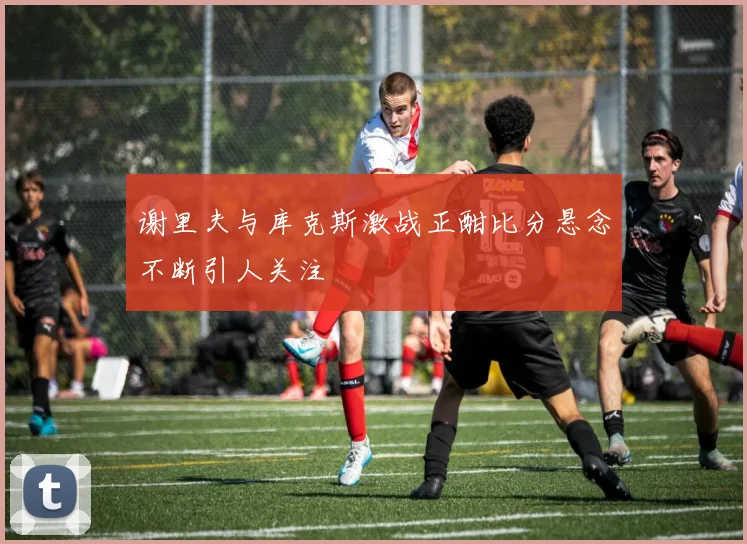 谢里夫与库克斯激战正酣比分悬念不断引人关注