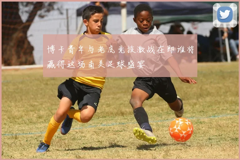 博卡青年与老虎竞技激战在即谁将赢得这场南美足球盛宴