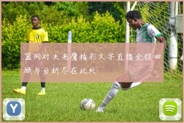篮网对决老鹰精彩文字直播全程回顾与分析尽在此处