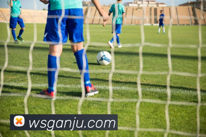 mk体育发展历程